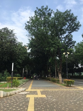 A paved pathway lined with large trees on either side, creating a canopy of greenery. The path has a yellow tactile paving strip running through its center. Two people can be seen walking down the pathway, surrounded by lush plants and well-maintained hedges. A road runs parallel to the pathway with street lamps present.