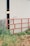 A metal gate painted red stands partially in front of a large white industrial building. The gate is open, revealing a dark interior with a faint glow of light inside. Tall grass and some foliage grow around the gate and building, adding a rustic touch to the scene.