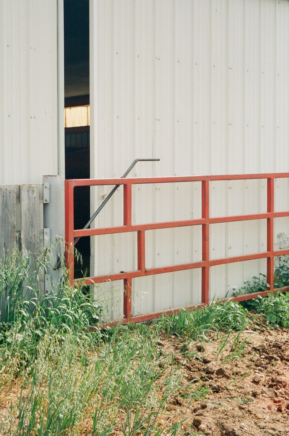 brown wooden door near green grass during daytime