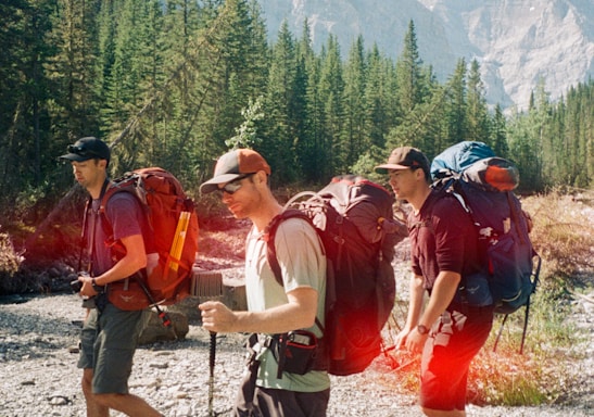 group of people hiking on mountain during daytime
