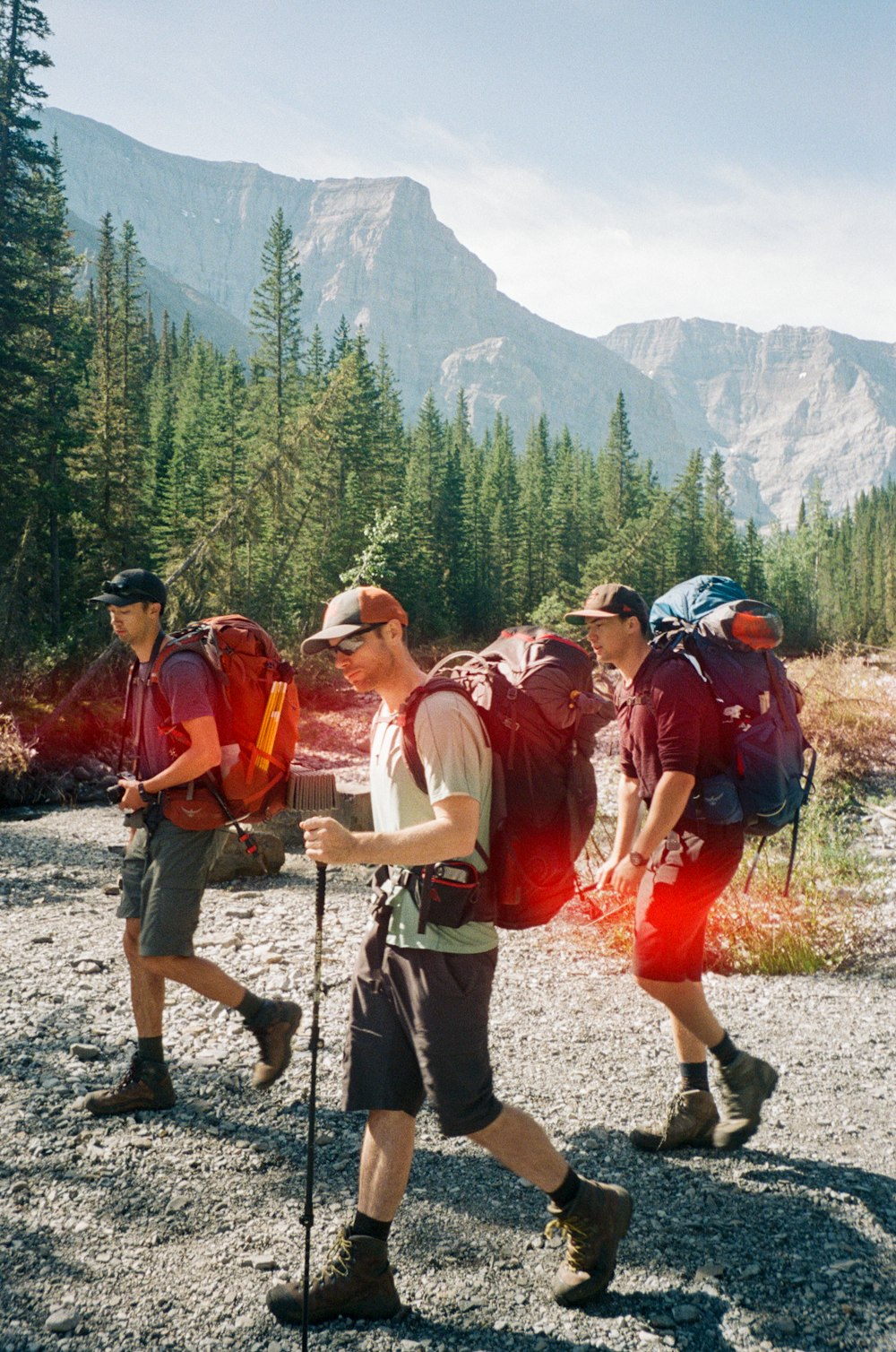 group of people hiking on mountain during daytime