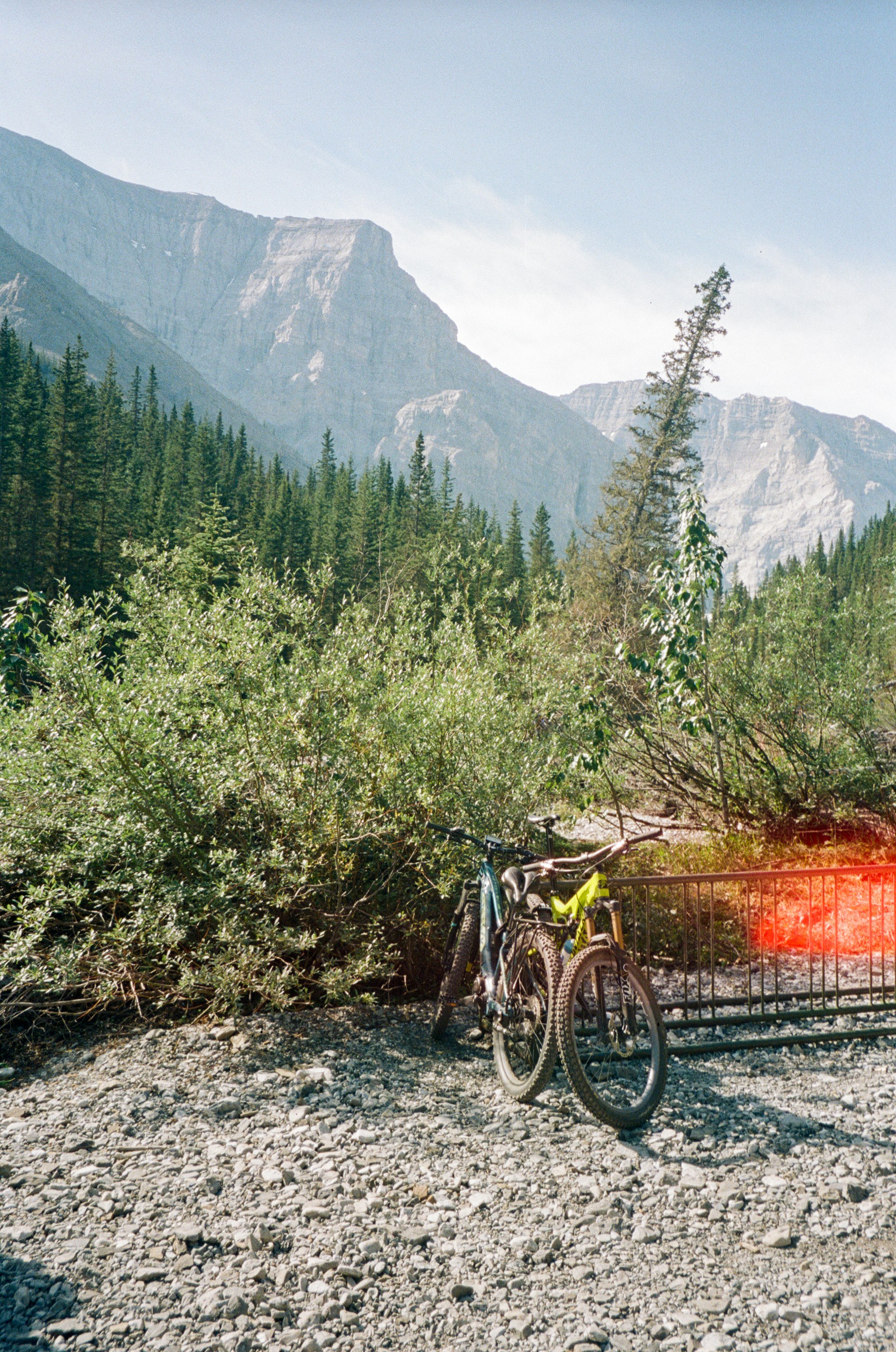black and orange mountain bike on forest during daytime