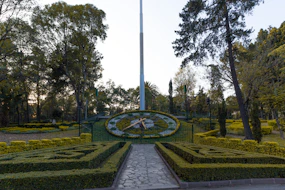 green and yellow garden during daytime