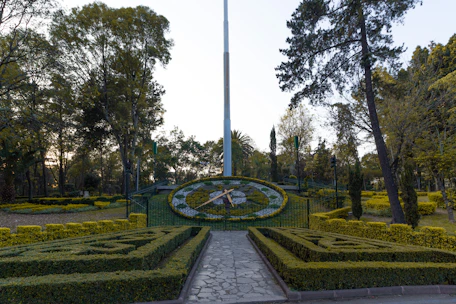 green and yellow garden during daytime