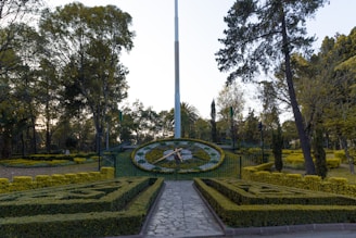 green and yellow garden during daytime
