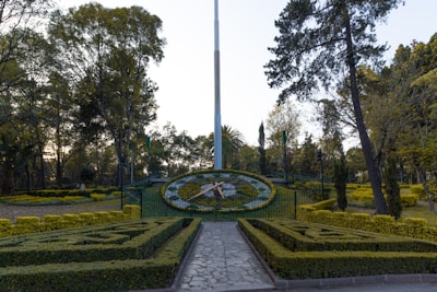 green and yellow garden during daytime