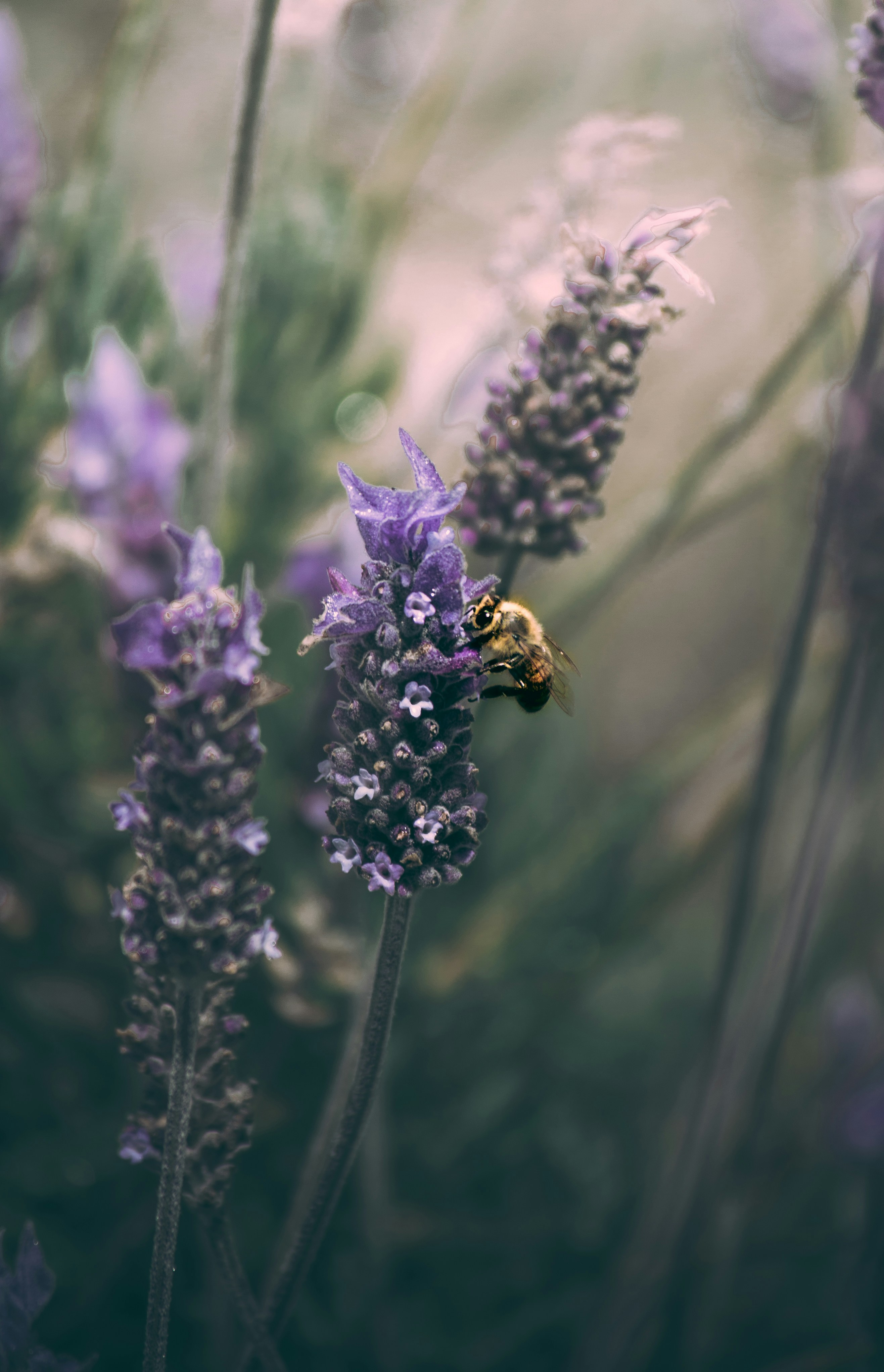 Photo by peterluo0113