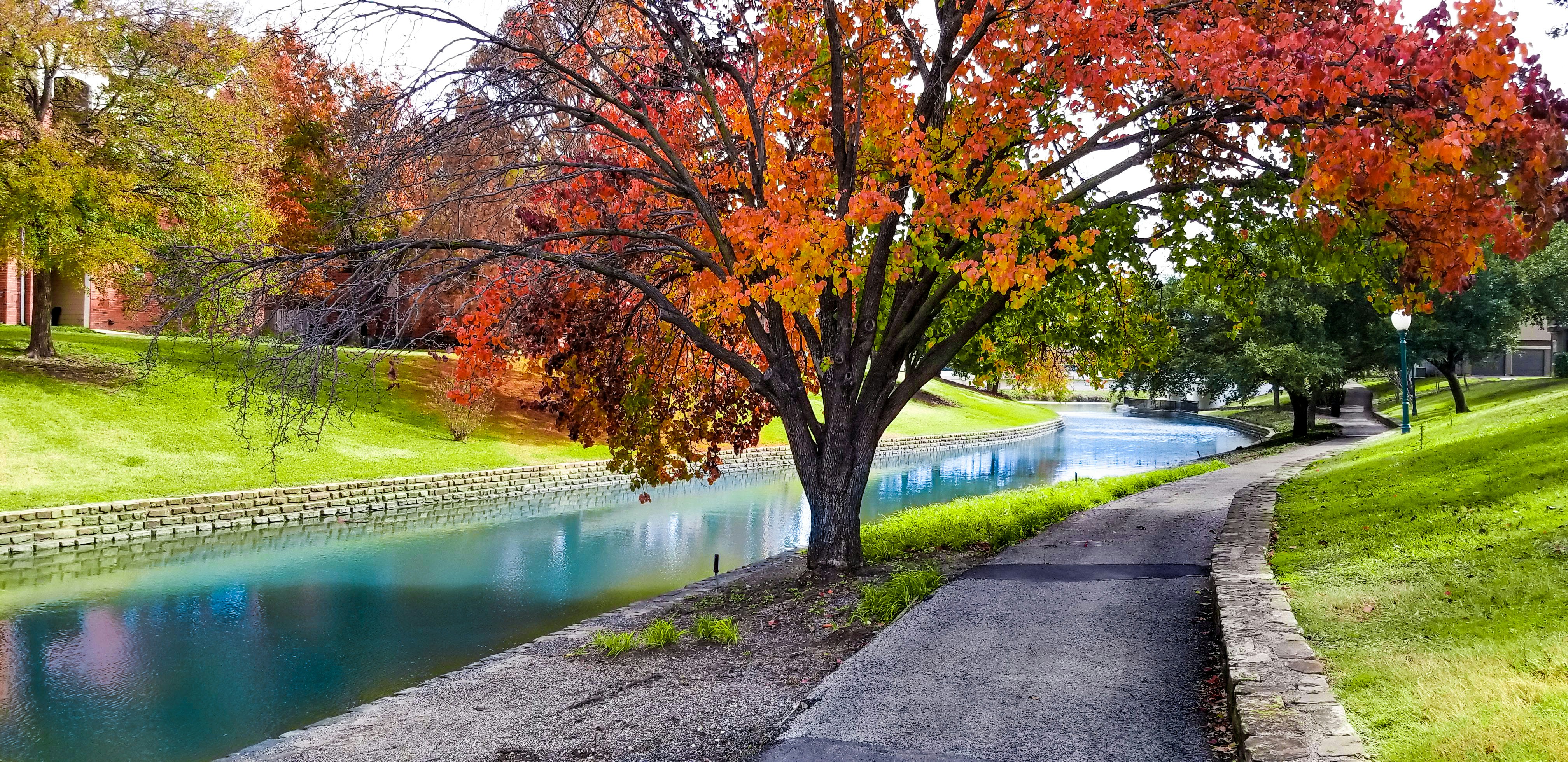 Photography by Jainath Ponnala