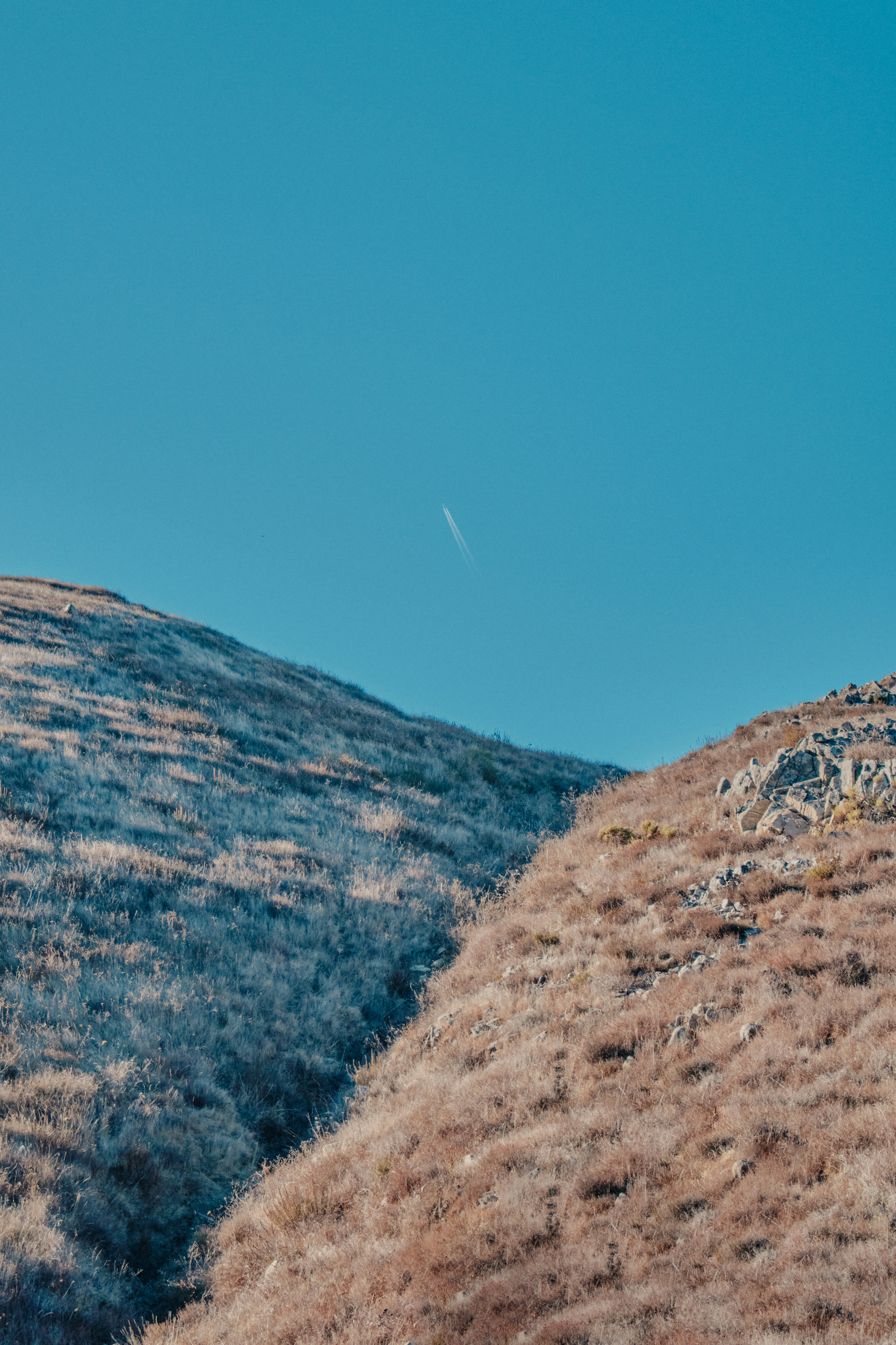 Photo by nathanguzman