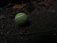 A worn tennis ball lies on the dirt ground, surrounded by scattered dried leaves. The surface is rough and uneven, with patches of dark brown soil and small stones.