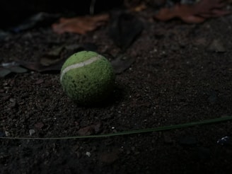 A worn tennis ball lies on the dirt ground, surrounded by scattered dried leaves. The surface is rough and uneven, with patches of dark brown soil and small stones.