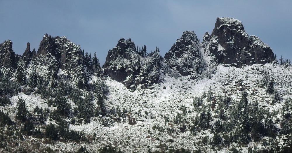 green trees on mountain under blue sky during daytime