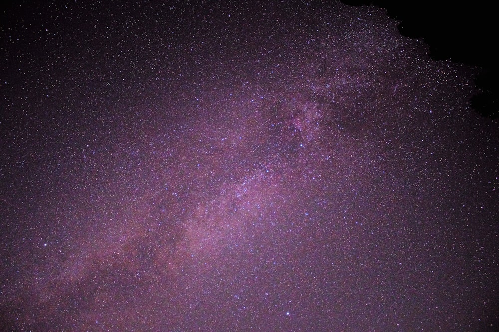 purple and black starry night