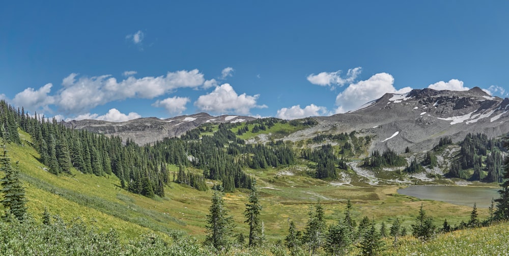 green trees on mountain under blue sky during daytime