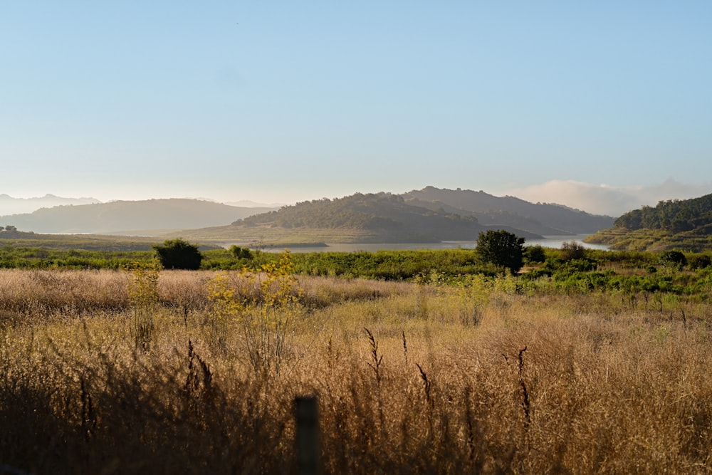 green grass field near mountain during daytime