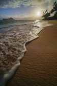 Sunset casting golden light over a small sandy beach with palm trees on one of the Rosario Islands