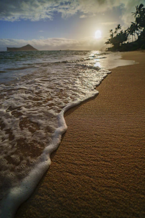 Sunset casting golden light over a small sandy beach with palm trees on one of the Rosario Islands