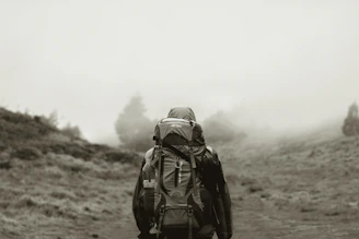 A focused guide leading a lone hiker through a quiet alpine trail at dawn.