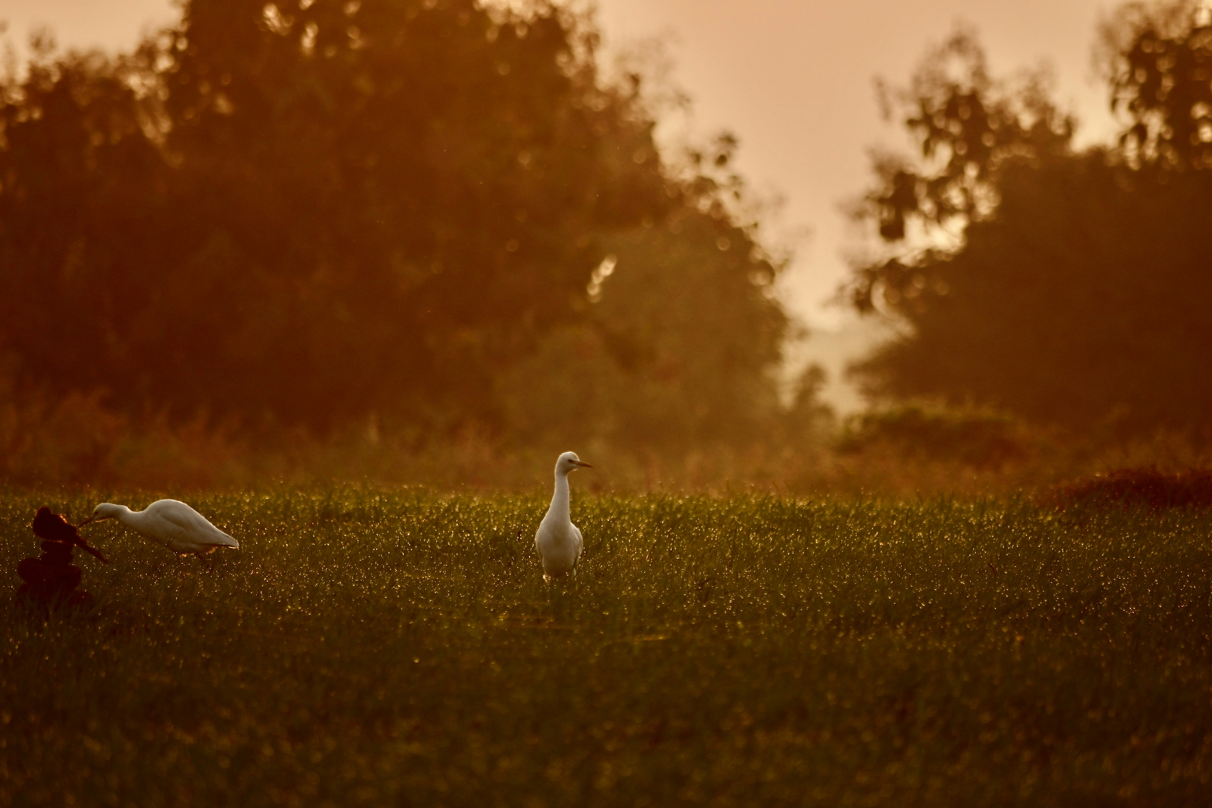 Photo by rrajputphotography