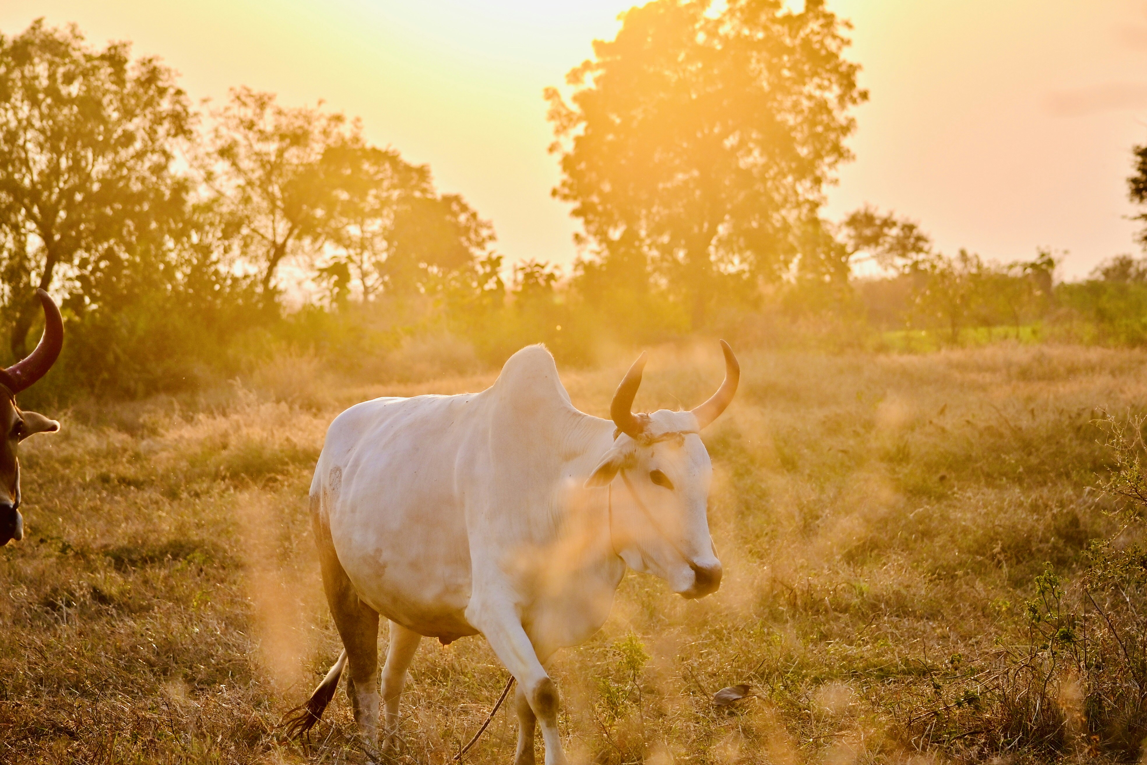 Photo by rrajputphotography