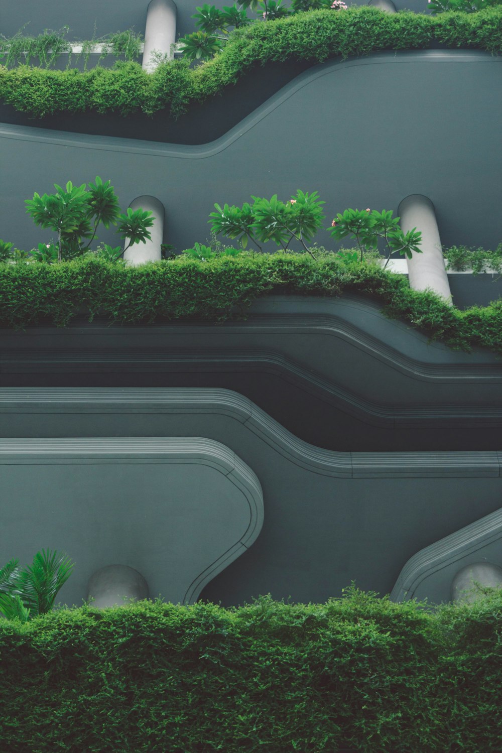 green plants beside gray concrete building