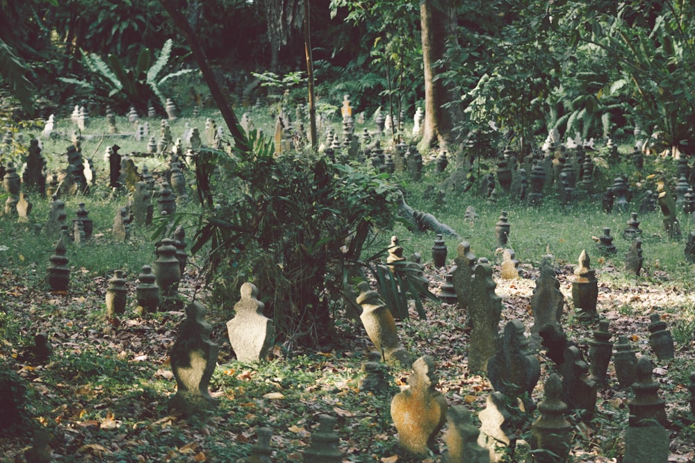 groupe de personnes dans la forêt pendant la journée