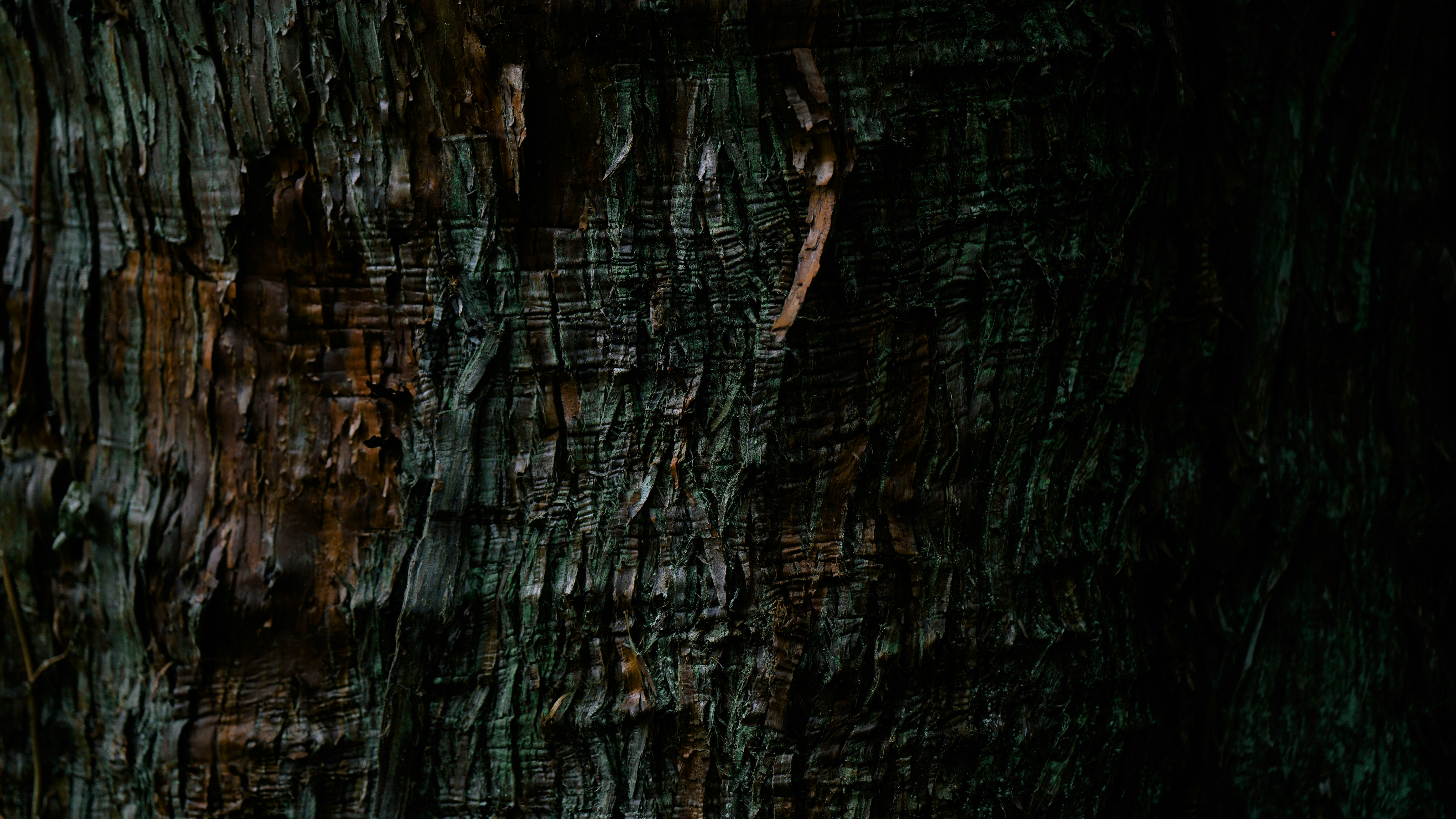 Photo by tokyokohaku