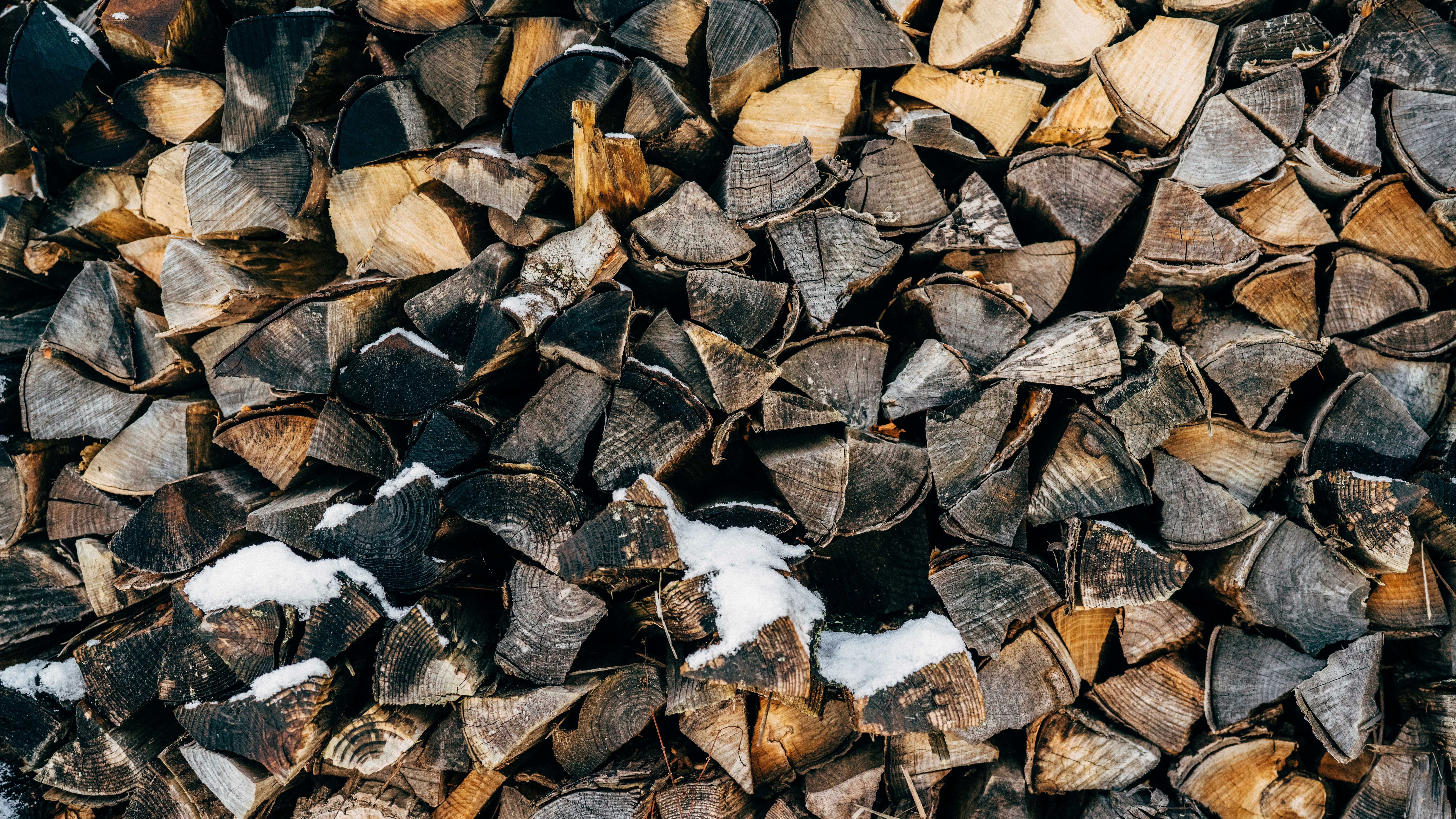 Photo by tokyokohaku