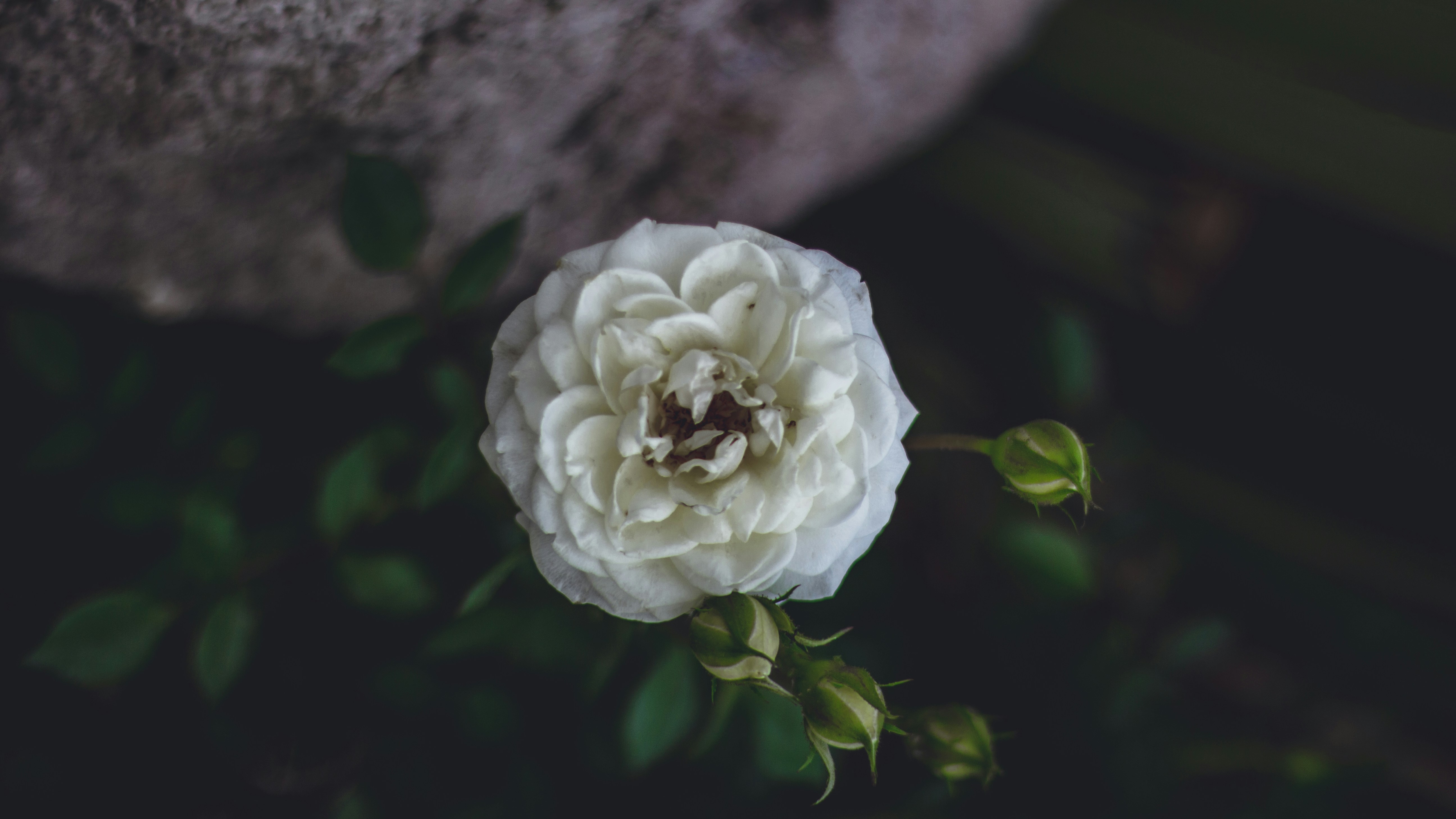 Photo by chuy_cervantes