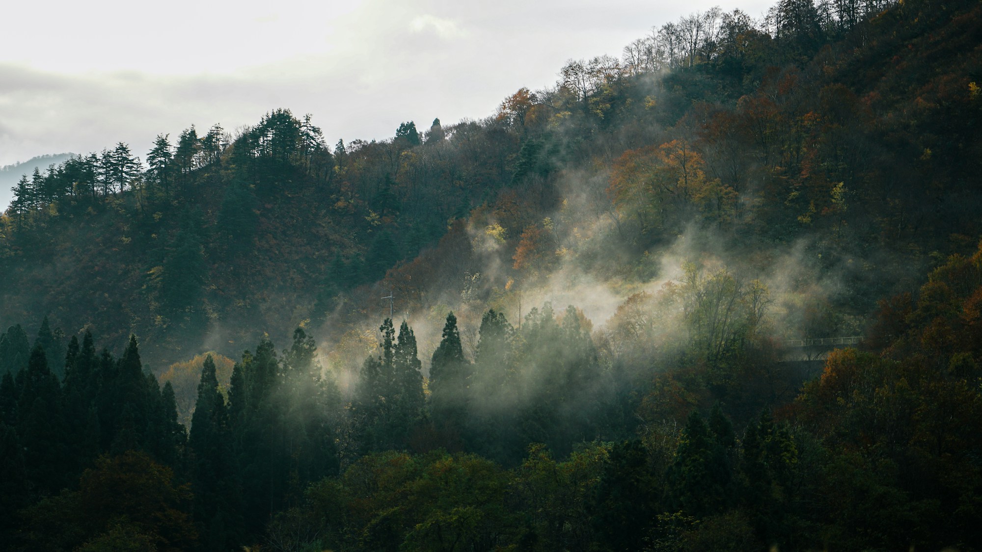 Niigata: Exploring the Charms of Japan's Hidden Gem