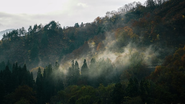 Niigata: Exploring the Charms of Japan's Hidden Gem