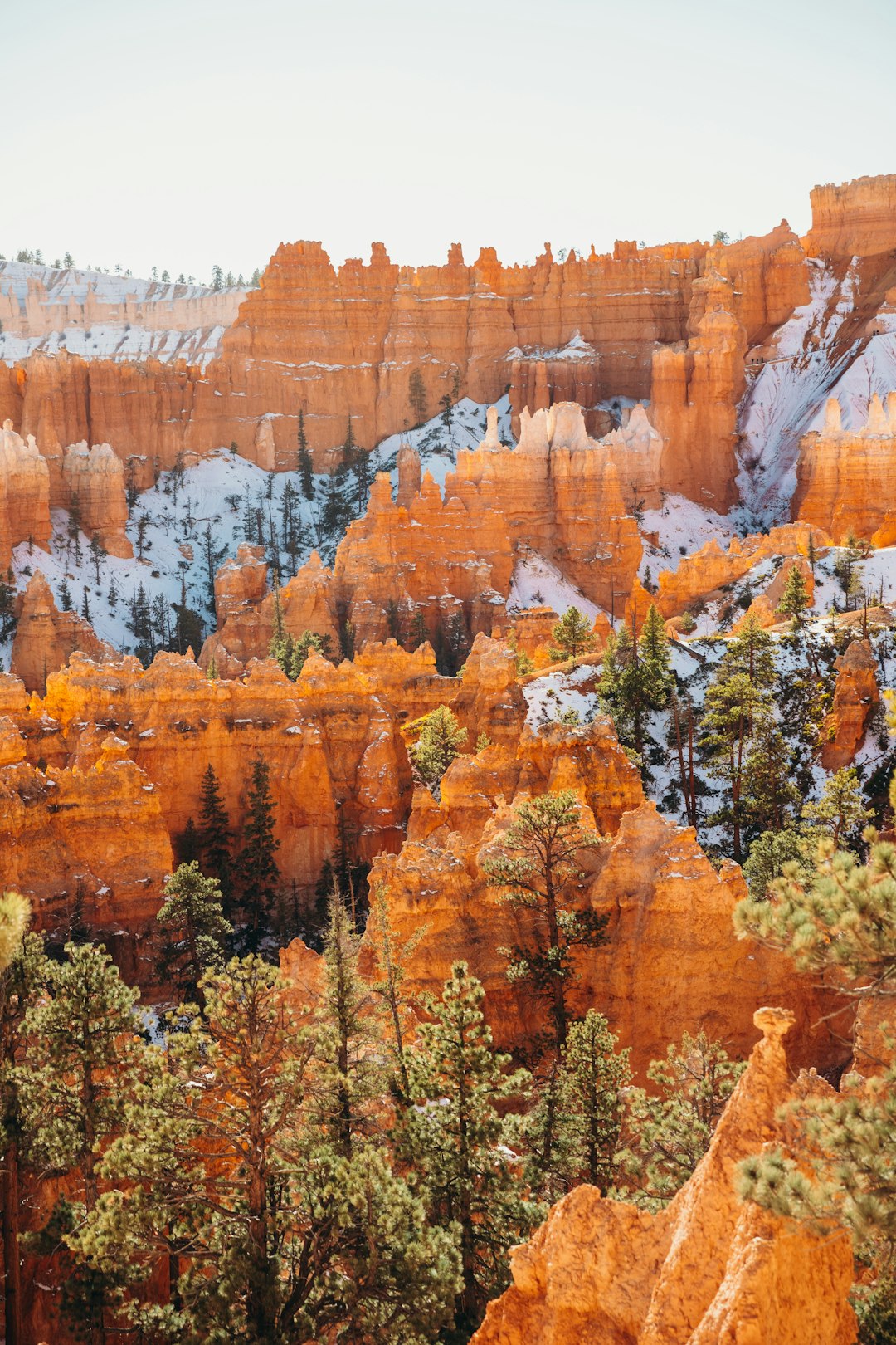 green and yellow trees near brown rock formation during daytime