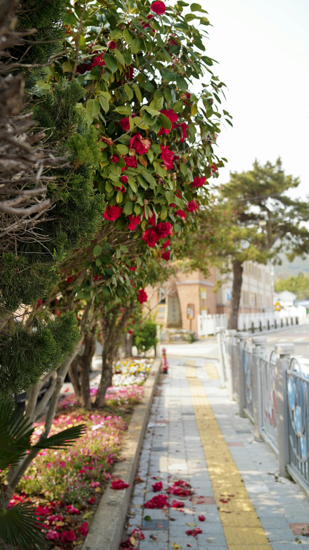 red flowers on green leaves