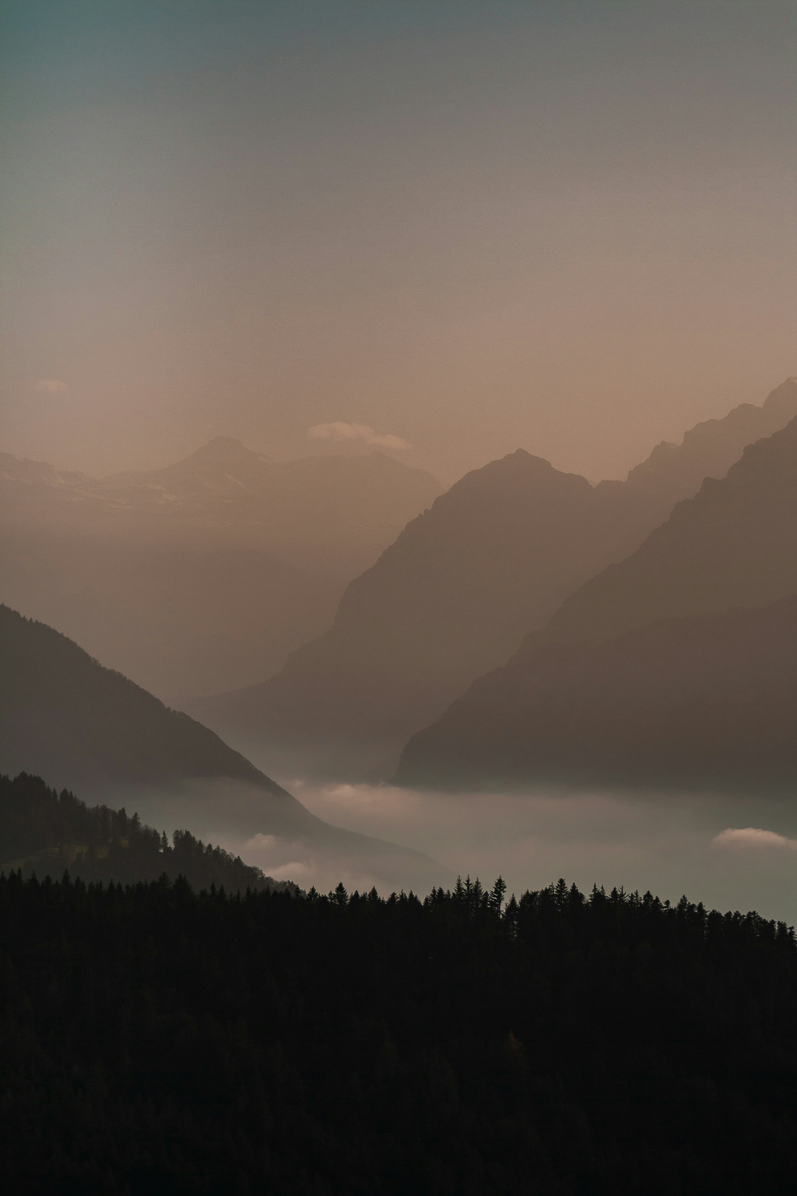 Photo by liviofretz