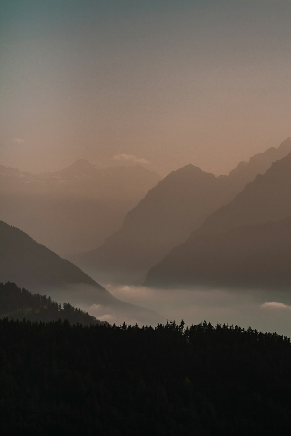 silhouette of trees and mountains during foggy day