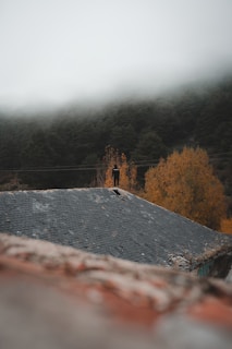 A person stands on the edge of a sloped, tile roof, with dense fog partially obscuring the background. The surrounding area is heavily wooded with trees bearing autumn-colored leaves in shades of orange and yellow.