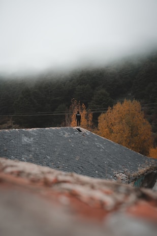 A person stands on the edge of a sloped, tile roof, with dense fog partially obscuring the background. The surrounding area is heavily wooded with trees bearing autumn-colored leaves in shades of orange and yellow.