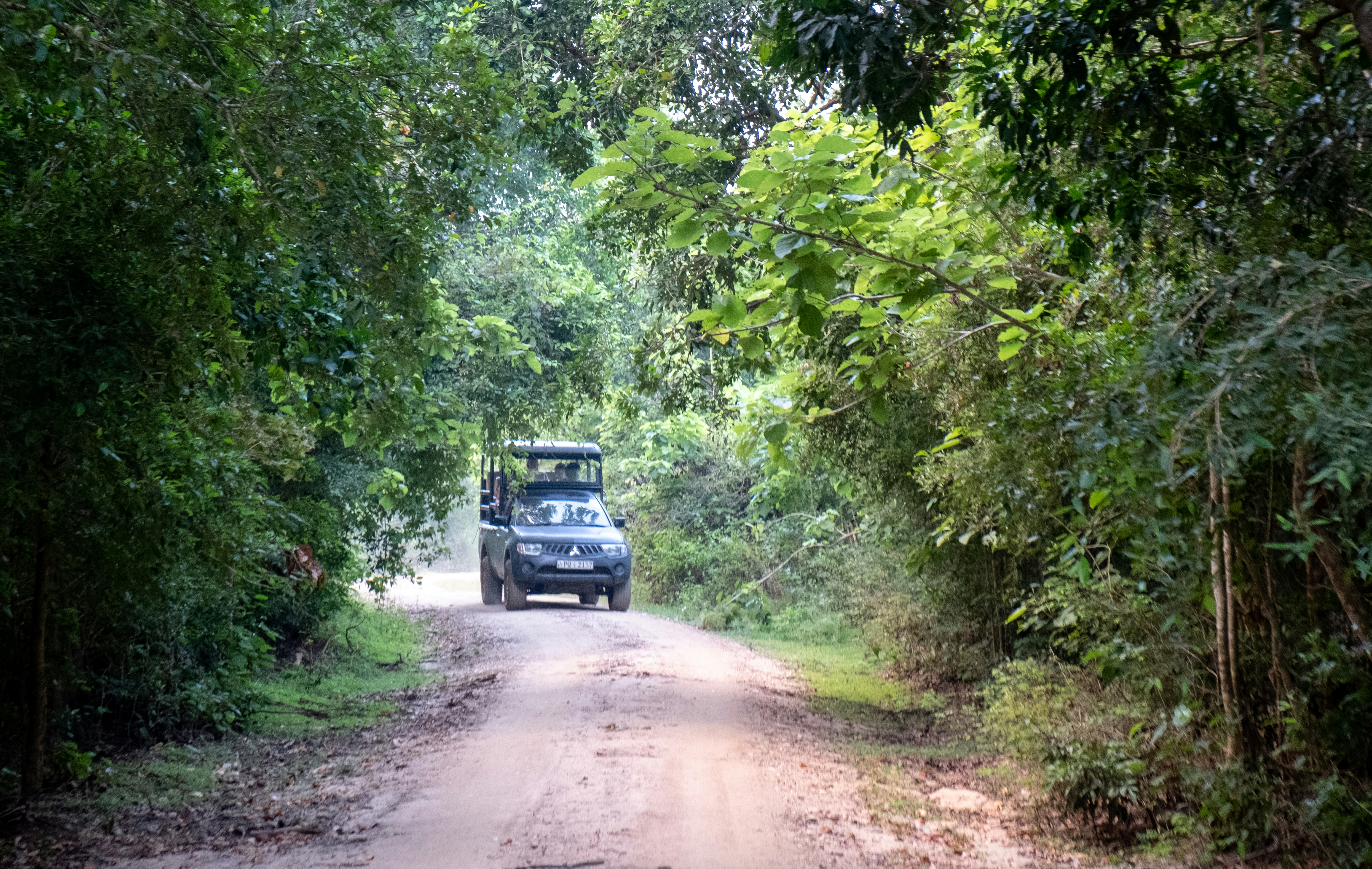 Geländewagen auf einer Schotterpiste durch den Regenwald