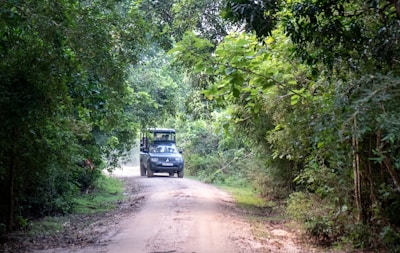 A dirt road winding through a lush green forest with a safari vehicle approaching in the distance. The dense foliage on both sides of the path creates a natural canopy overhead.