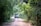 A dirt road winding through a lush green forest with a safari vehicle approaching in the distance. The dense foliage on both sides of the path creates a natural canopy overhead.