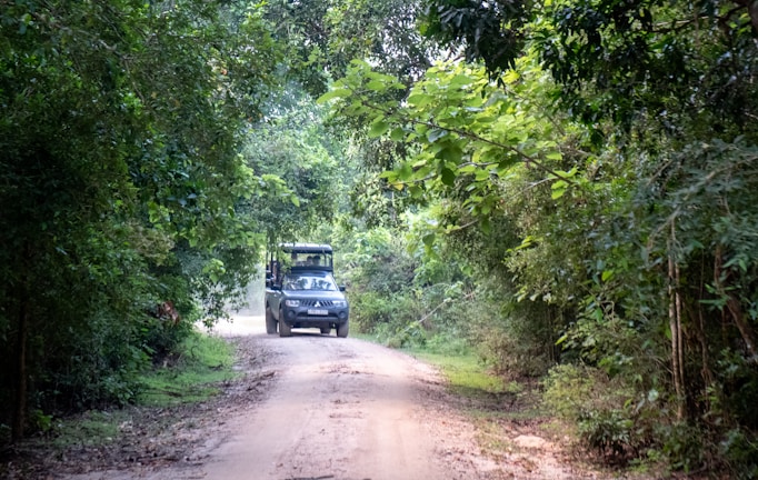 A dirt road winding through a lush green forest with a safari vehicle approaching in the distance. The dense foliage on both sides of the path creates a natural canopy overhead.