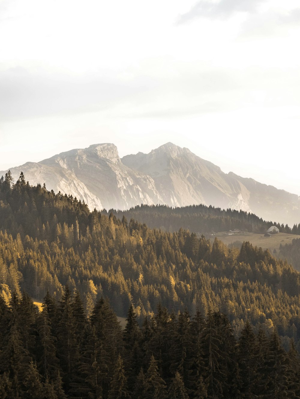 green trees near mountain during daytime