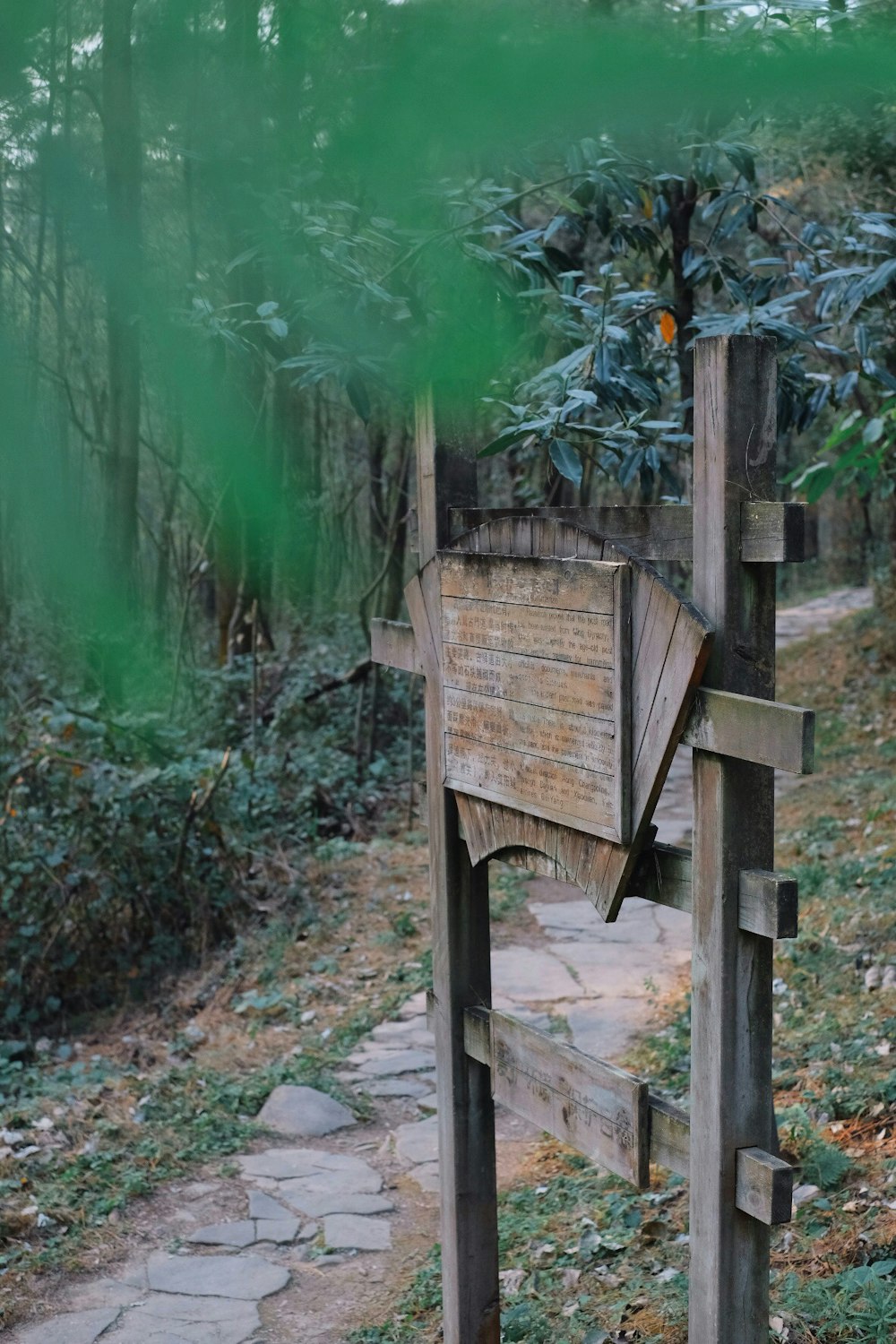 brown wooden pet cage near green wall