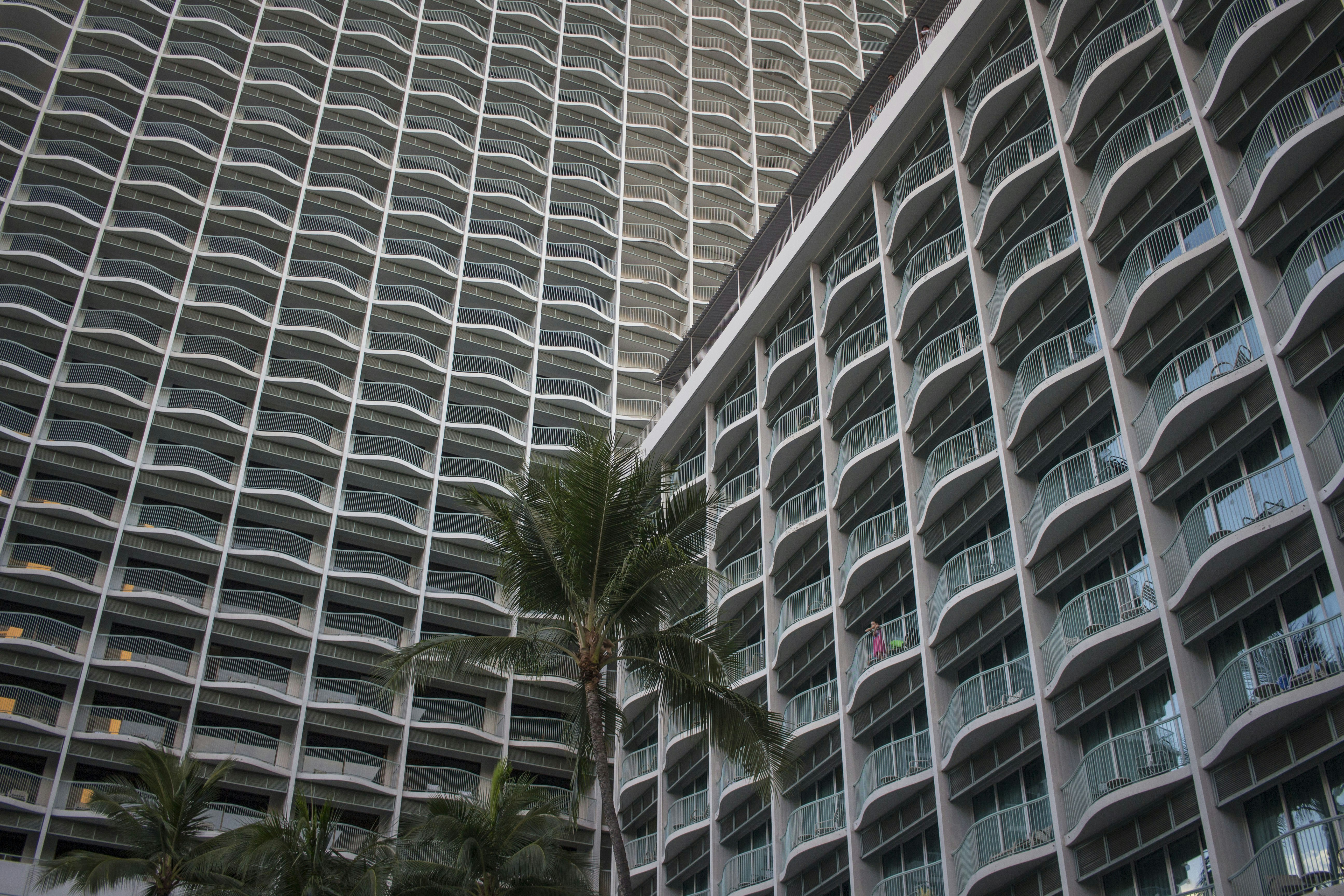 green palm tree near white concrete building