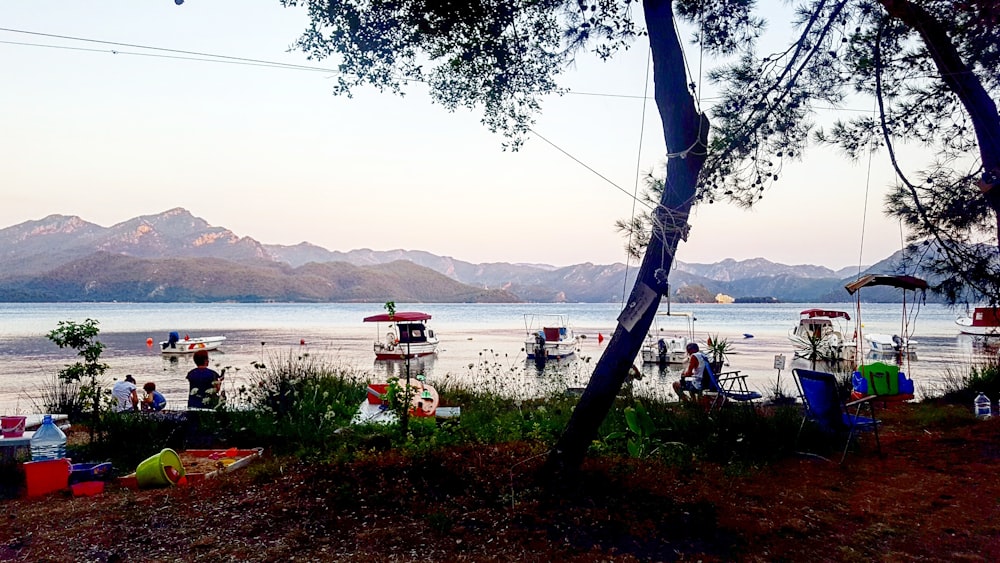 people sitting on bench near body of water during daytime