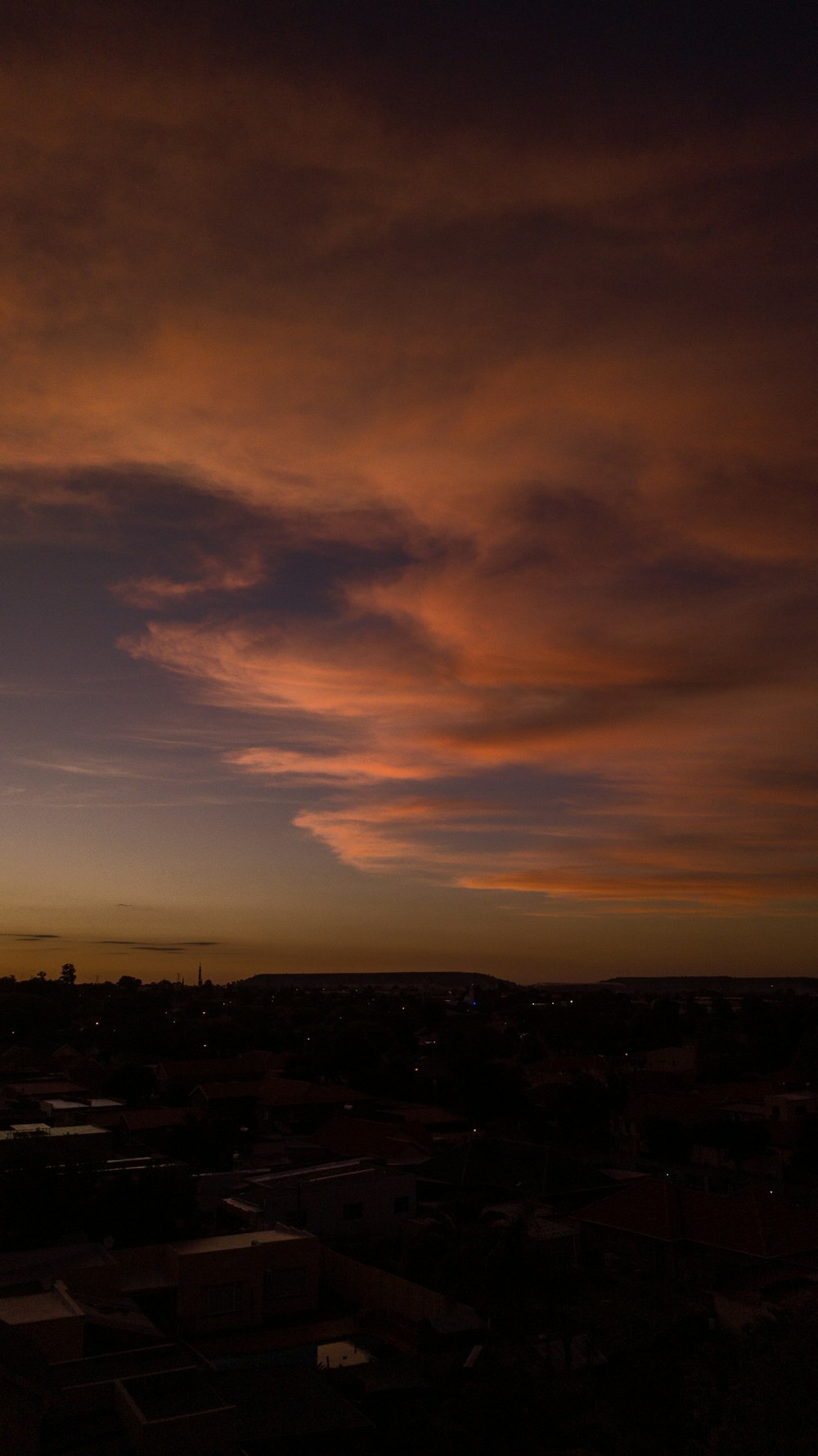 silhouette of trees under cloudy sky during sunset