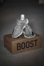 A pair of gray and white patterned sneakers is placed on top of a cardboard shoe box labeled 'BOOST'. The sneakers have a distinctive texture and design with a looped lace system. The box has branding that indicates it is made by Adidas.