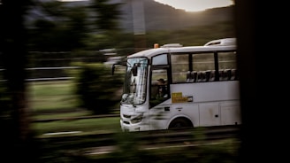 A peaceful early morning departure with the transport vehicle ready for the day's tours.