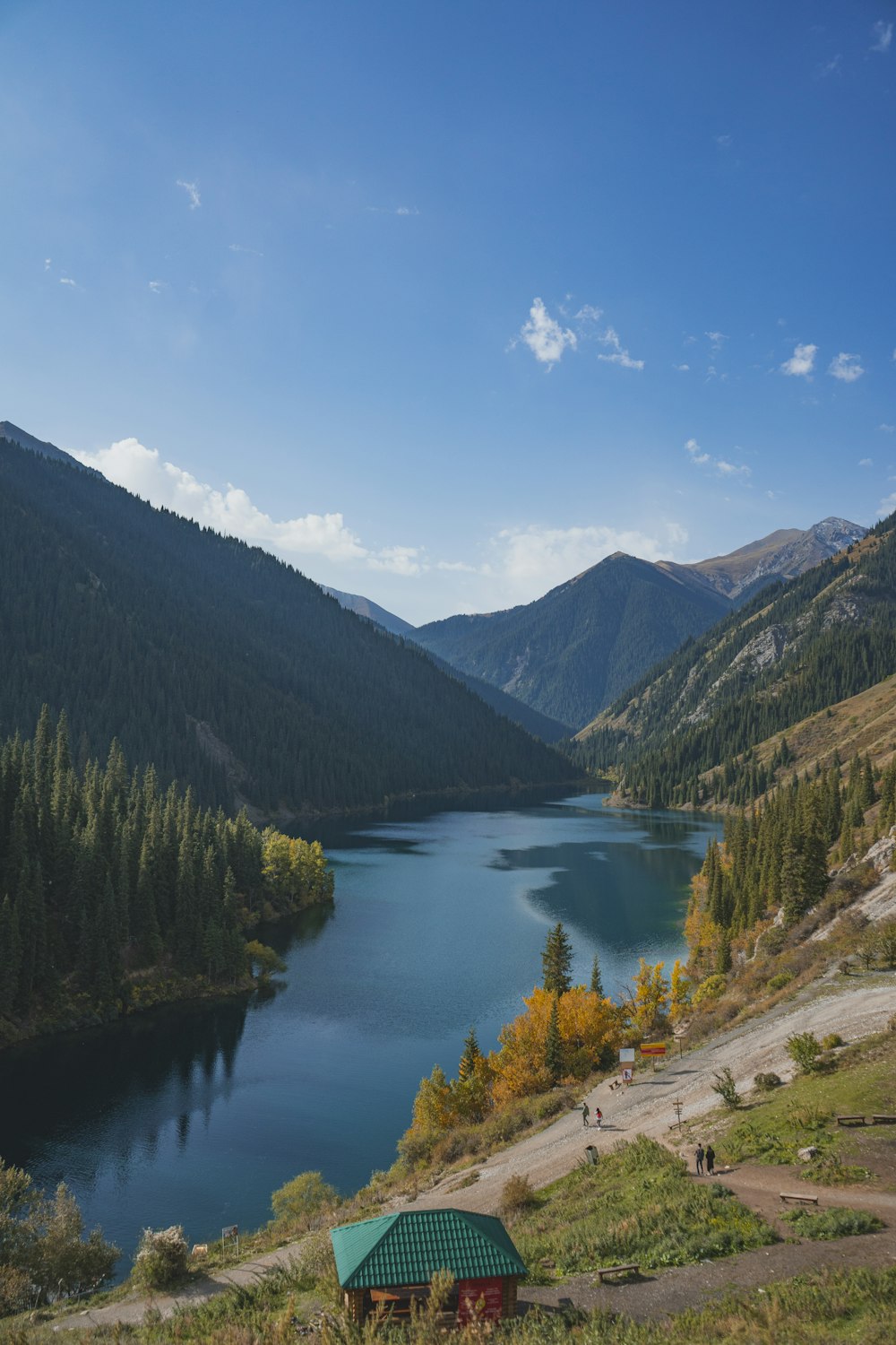 alberi verdi e montagne vicino al lago sotto il cielo blu durante il giorno