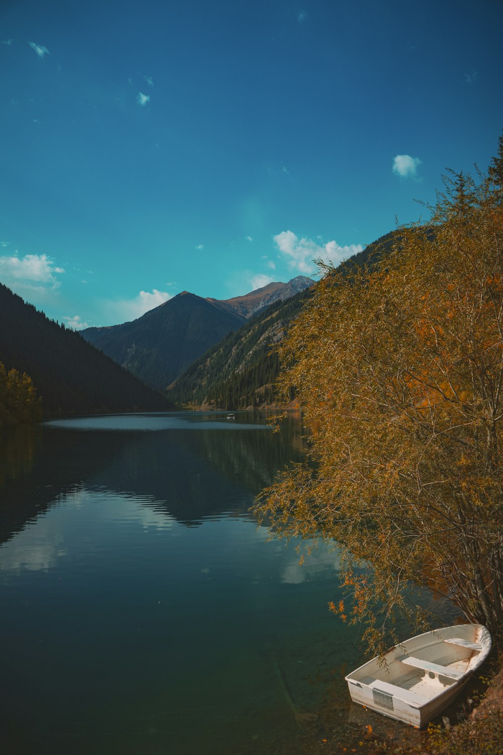 Grüne Bäume in der Nähe des Sees unter blauem Himmel während des Tages